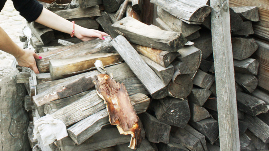 Жители Нидерландов закупают дрова к зиме из-за роста цен на газ